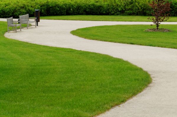 Cost of Concrete Walkway Installation in Los Gatos