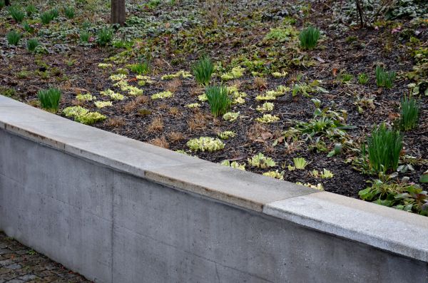 Cost of Concrete Wall Pouring in Los Gatos