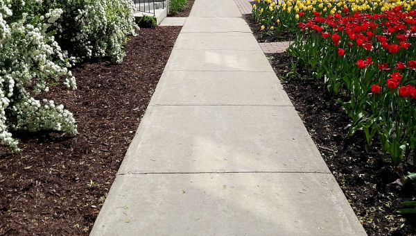Cost of Cement Sidewalk Installation in Los Gatos